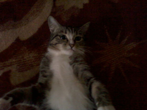 Виктория Ким