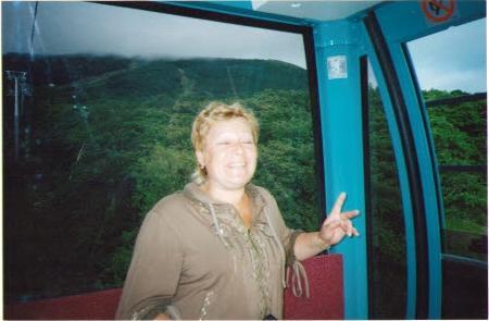 Елена Шишкина