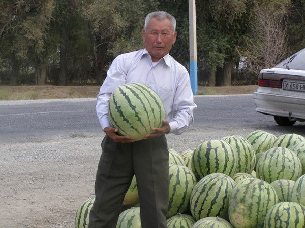 Алихан Абдешев