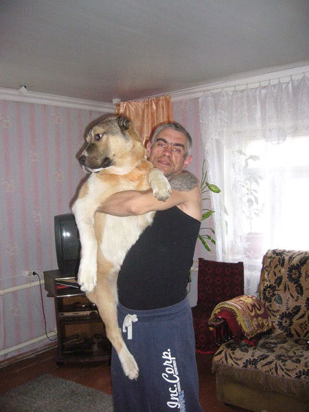 Павел Обрывин