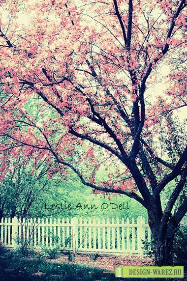 Сулубек Байжанбаева