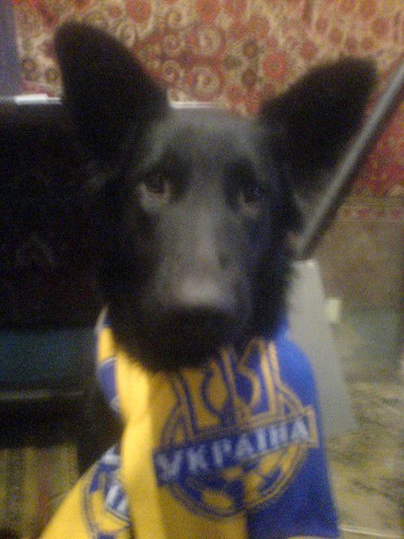 Михаил Дергачёв