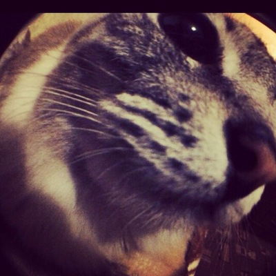 Никита Макаров