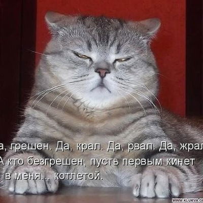 Алексей Конаков