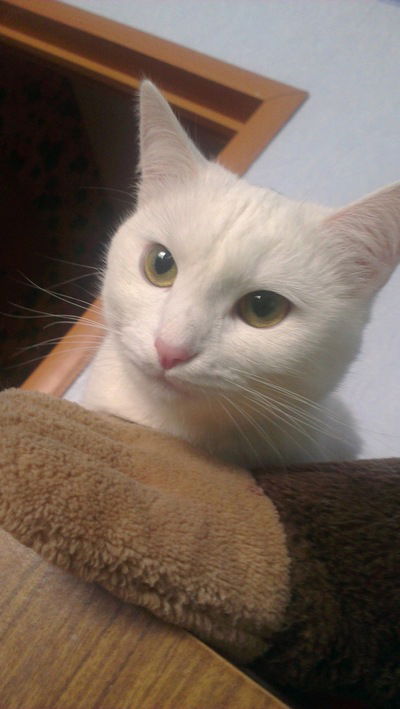 Настя Сергеева