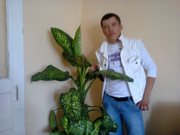 Раниль Ахмеджанов