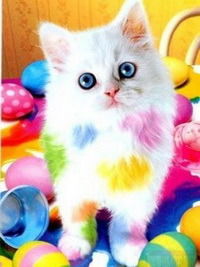 Светлана Оболенцева