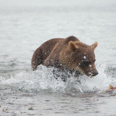 Александр Фирфаров