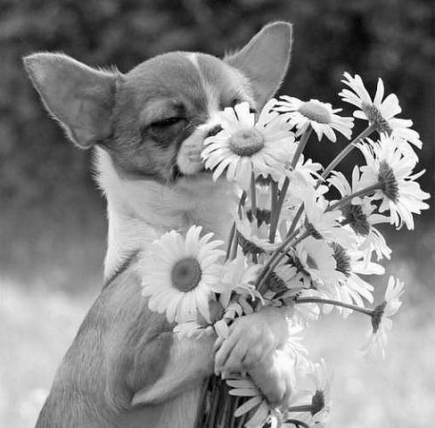 Людмила Полупан