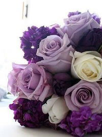 Светлана Игнашина