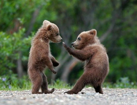 Лиана Вячеславовна