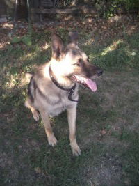 Анастасия Седельникова