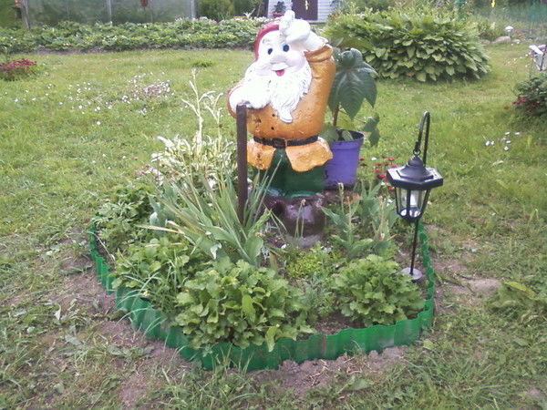 Светлана Фролова