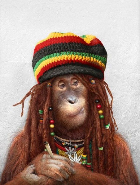 Анатолий Белоножко