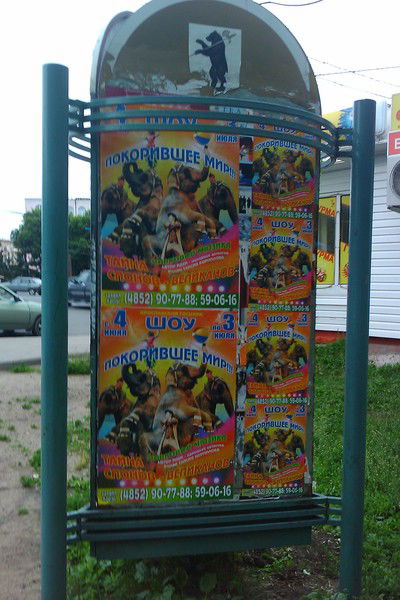 Дмитрий Белов