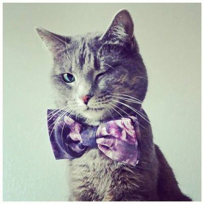 Ермек Турласов