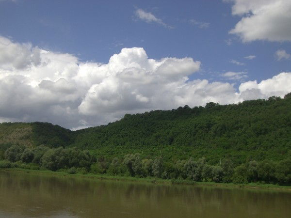 Леся & Віталік Ходзінські