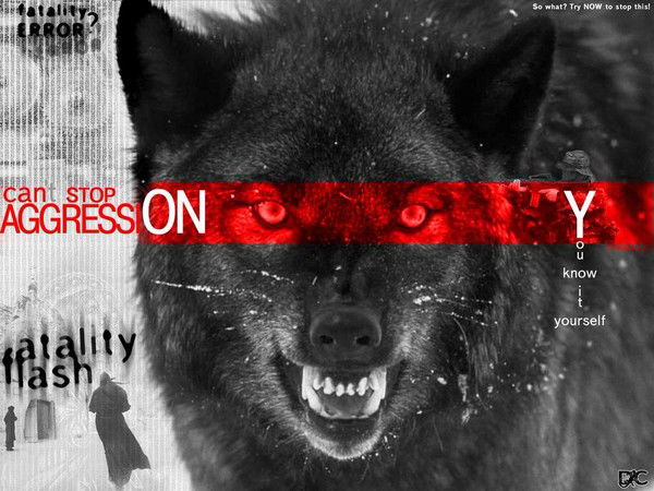 Фуад Ахмедов