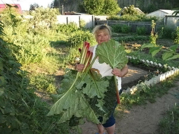 Анна Иванова