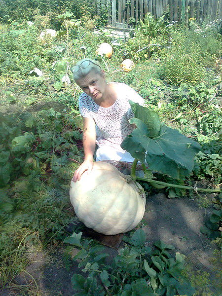 Нина Биллер (Гацко)