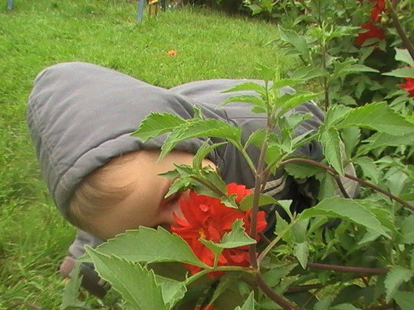 Венера Якубова