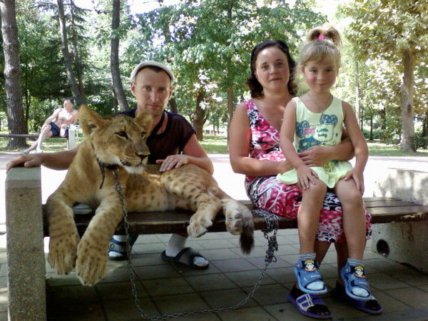 Андрей Бойков