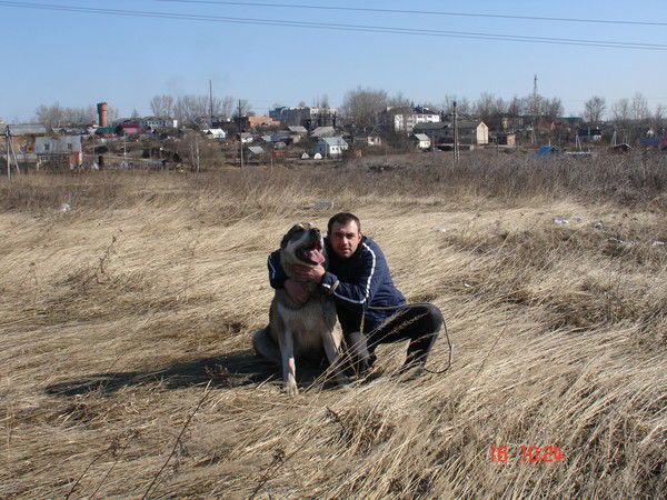 Сергей Панин