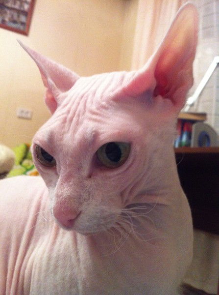 Мария Петрова