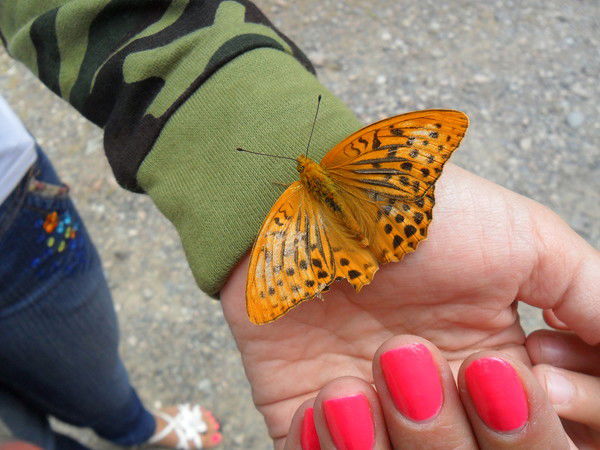 Гульдария Ермекбаева