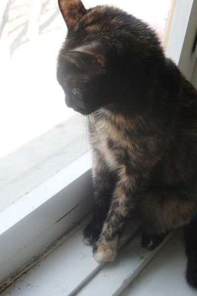 Александр Доронин