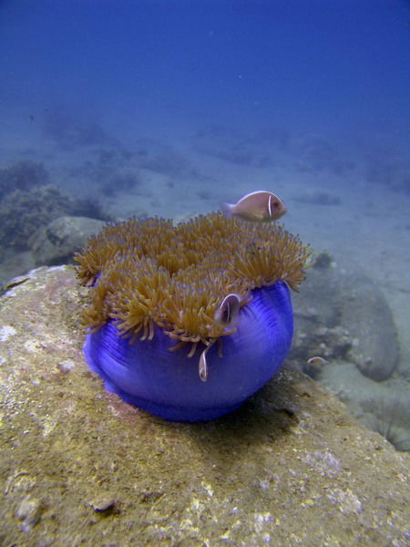 Вадим Базюченко