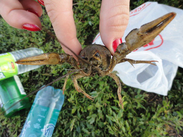 Екатерина Жерденко