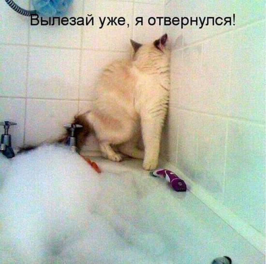 Сергей Иванов