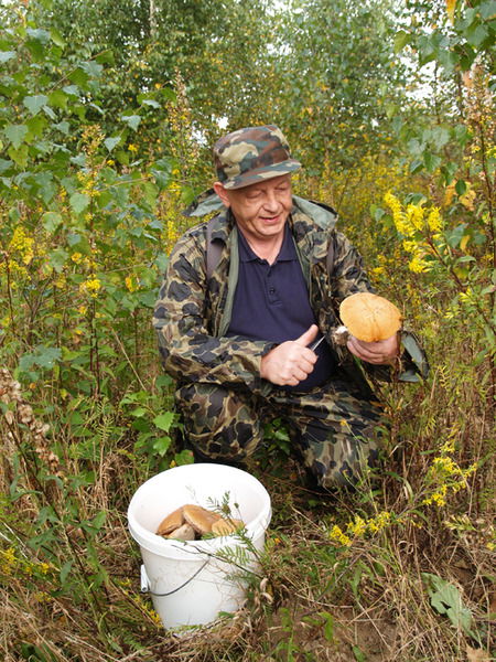 Alexandr Borsuchenko
