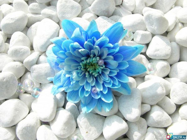 Валентина Ерфилова