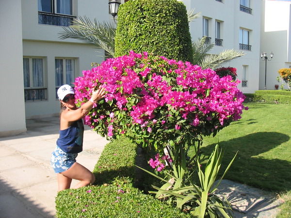 Туманова Светлана