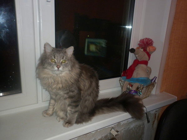 Алина Просто