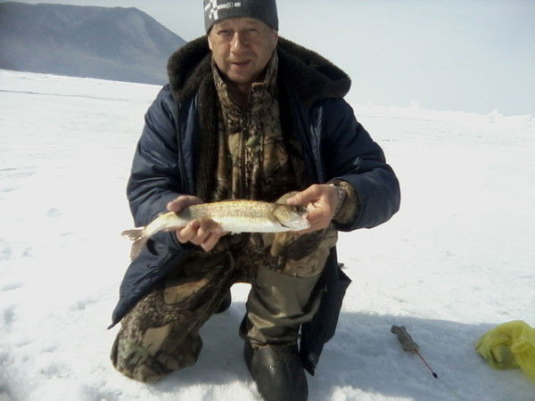 Виктор Жаркой