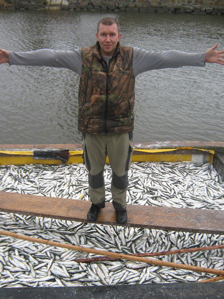 Алексей Почечура