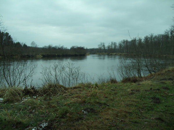 Владимир Сапраньков