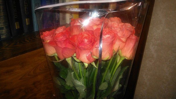 Ирина Пономарёва