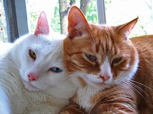 Просто И Просто