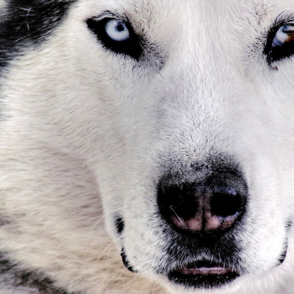 Саша Омкина