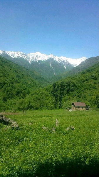 Каныбек Арстанбеков