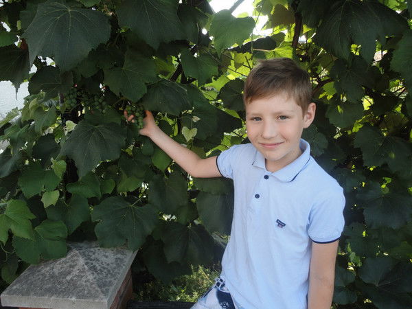 Данил Моховиков