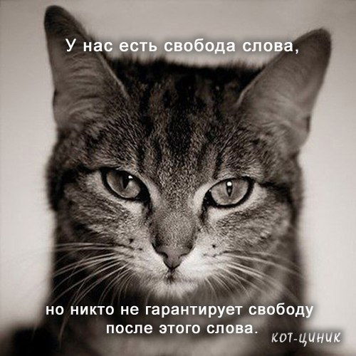 Макс Сахаров