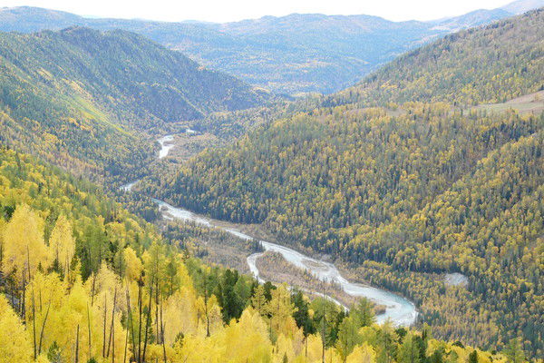 Алексей Осипенко