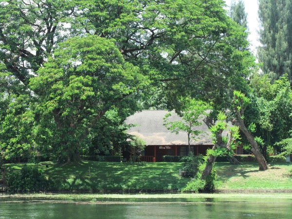 Юлия Куклева