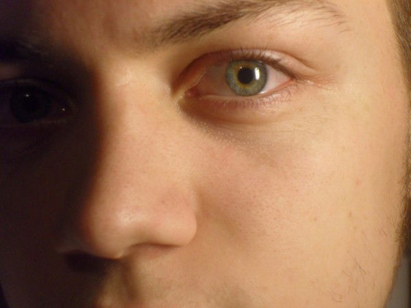 Илья Нестеров