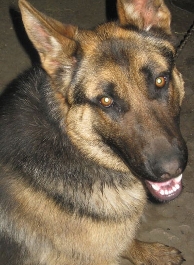 Лидия Сергачева